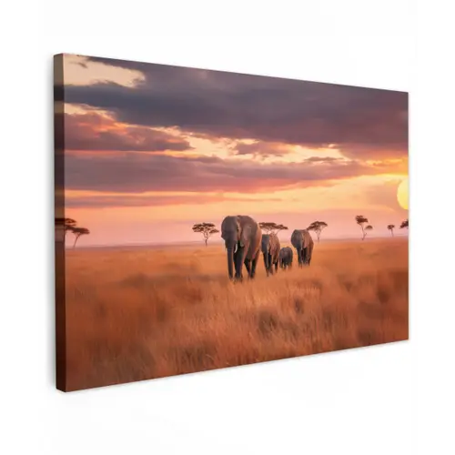 Groep olifanten - Open vlakte - Zon canvas 2cm klein -z3d