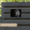 Majestueuze leeuw in de duisternis tuinposter los doek klein -sfeer3
