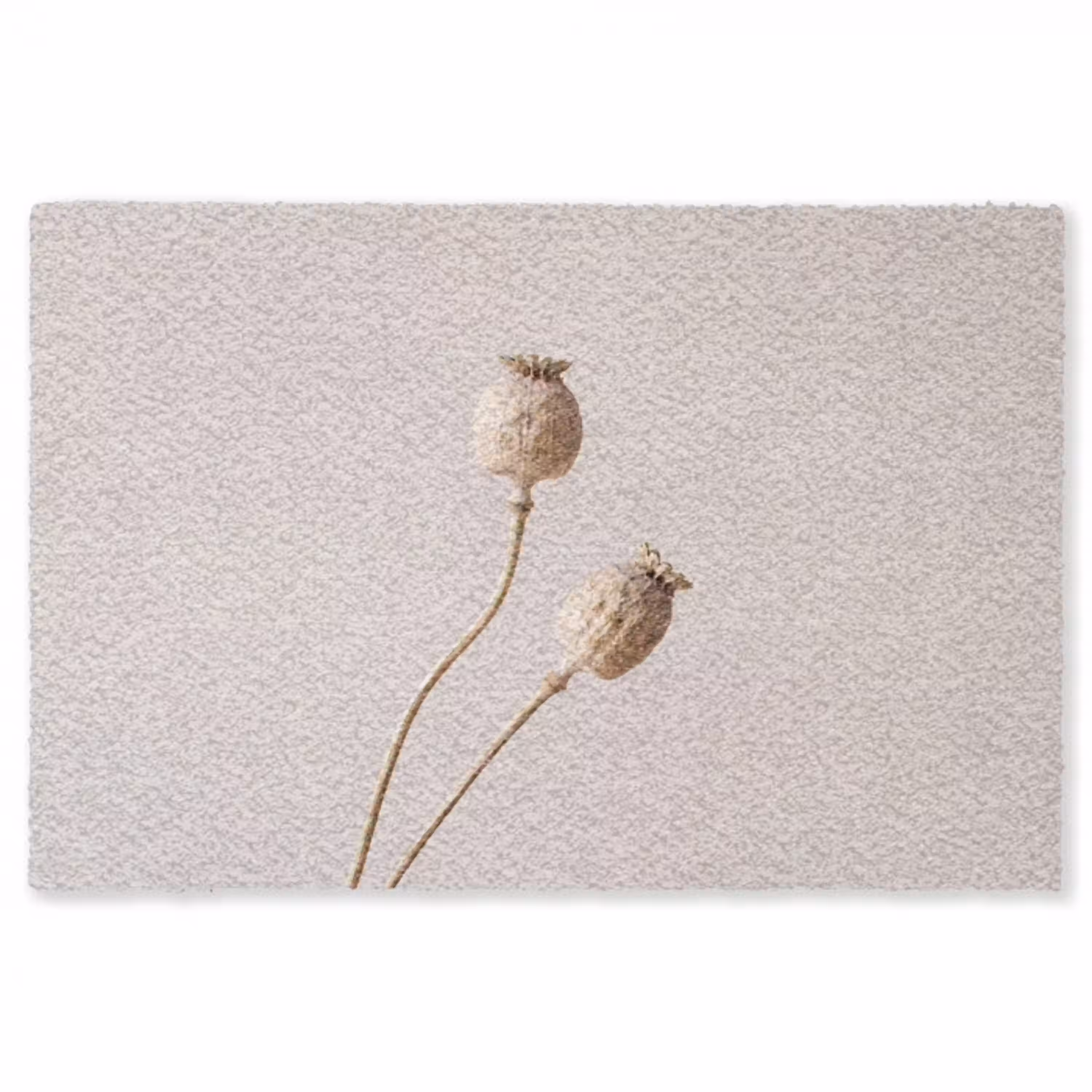 Papaverbollen - Droogbloemen - Minimalistisch - Beige - Rustig Vloerkleed Rechthoek klein -3d