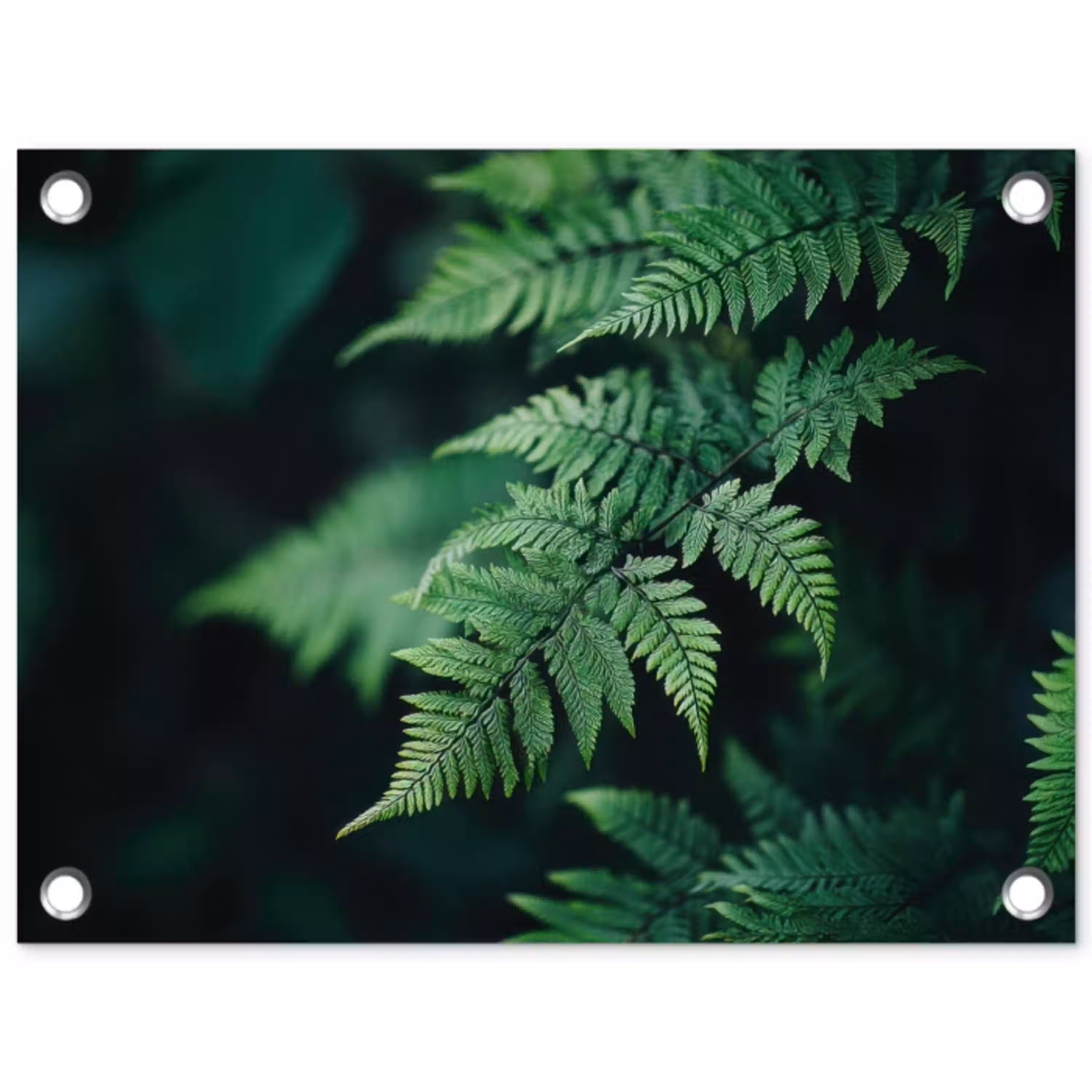 Varenblad - Groen - Structuur - Wazig tuinposter los doek klein -3d