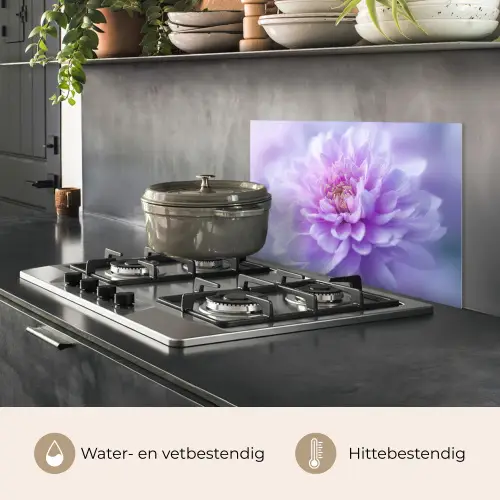 Paars - Dahlia - Dromerig keuken achterwand spatscherm klein -usp_NL