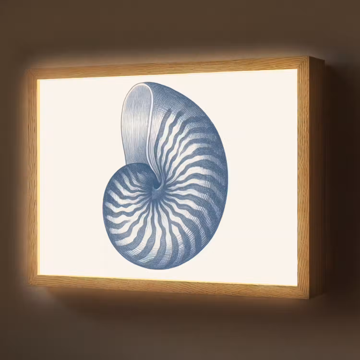 Lightbox - Wandlamp - Blauw - Schelp - Spiraal