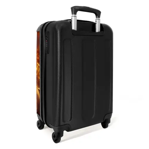 Goldrush Koffer - NBS - Handbagage middel -achterkant