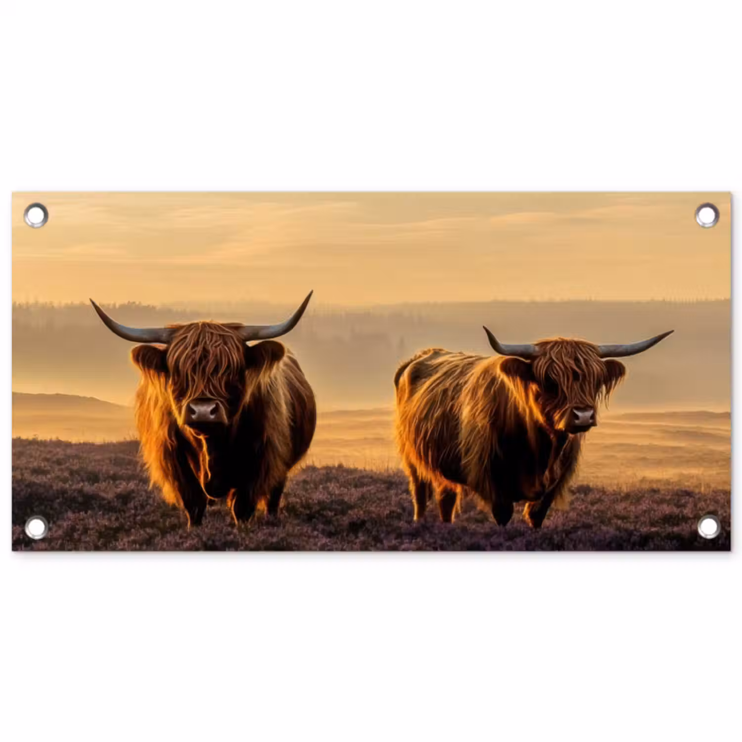 Tuinposter - Schotse hooglanders - Heide - Landschap - Dieren
