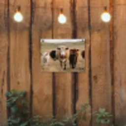Runderen - Kudde - Landschap - Weide - Rustig tuinposter los doek klein -sfeer1