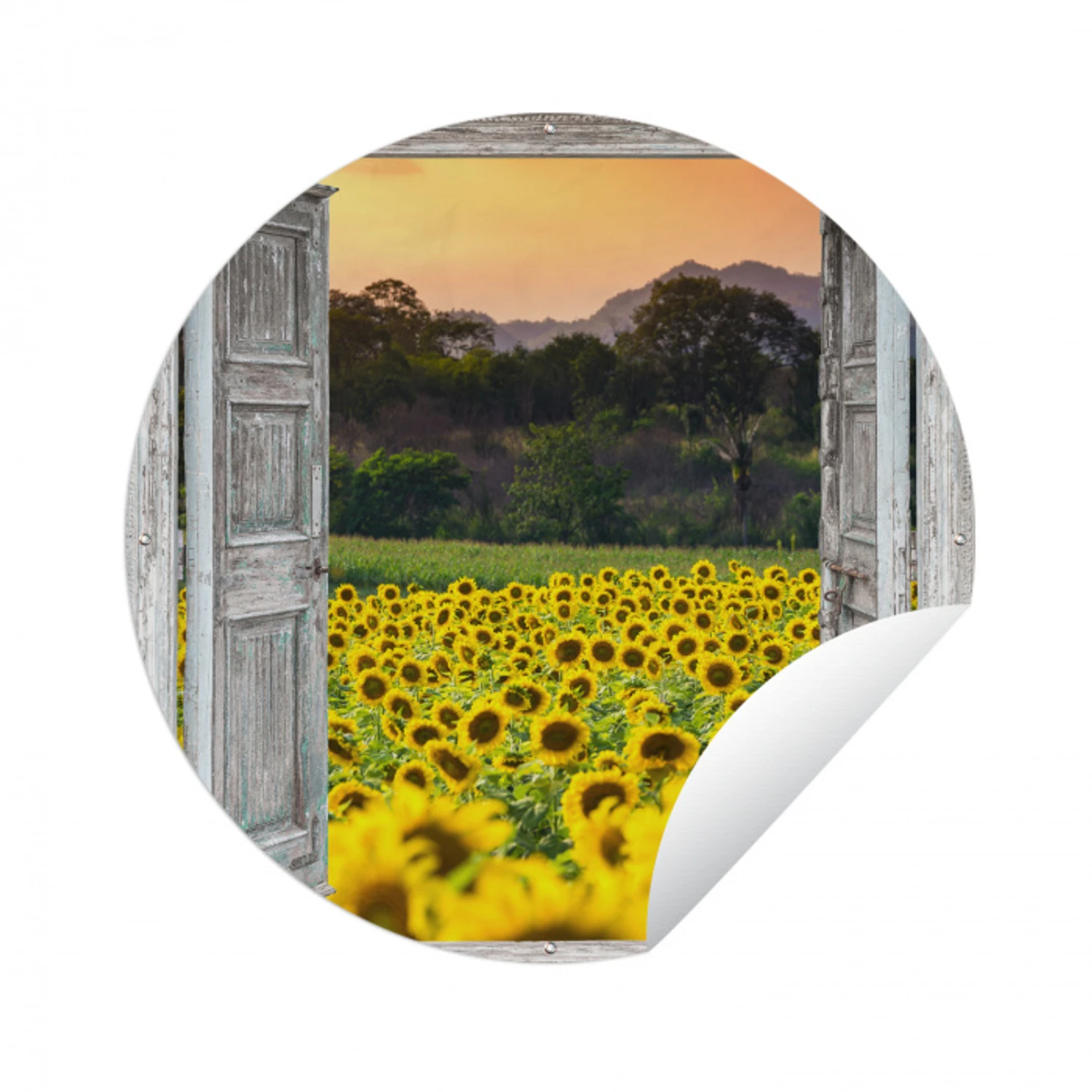 Zonnebloem - Avond - Bloemen - Doorkijk Wandcirkel tuinposter met ringen klein -3d
