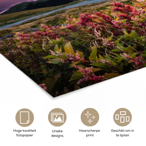 Bloemen - Bergen - Landschap - Nacht - Lucht - Roze poster papier klein -closeup_NL