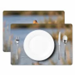Vogel - Steltloper - Water - Natuur Placemat vinyl groot -zzsfeer2_Kitchenyeah-website
