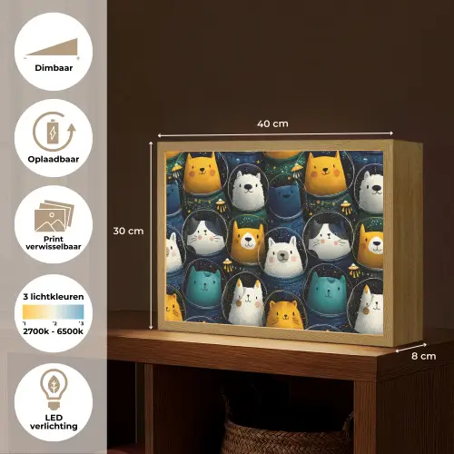 Dieren - Ruimtepakken - Sterren Light Box met batterij (Wandlamp kind) middel -USP_websiteoverzichtNL