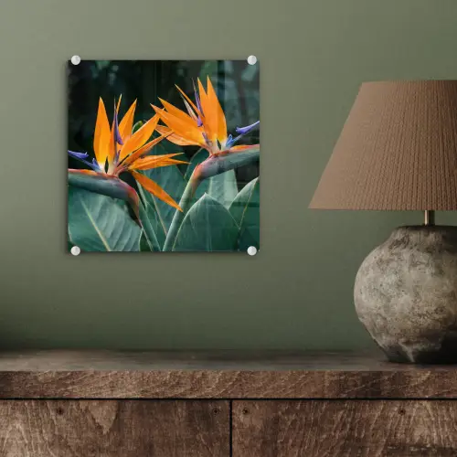 Paradijsvogel - Bloem - Exotisch plexiglas 5mm klein -sfeer3