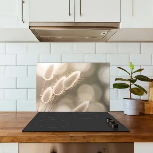 Hazestaartgras - Wit - Zonlicht keuken achterwand spatscherm klein -sfeer2