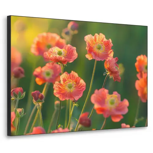 Bloemenveld - Zonnestralen - Oranje Textielframe zwart klein -3d