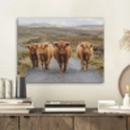 Schotse Hooglanders - Weg - Landschap - Kudde PET vilt klein -sfeer1