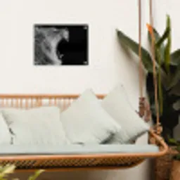 Dieren - Leeuw - Zwart - Wit - Portret tuinposter los doek klein -sfeer7