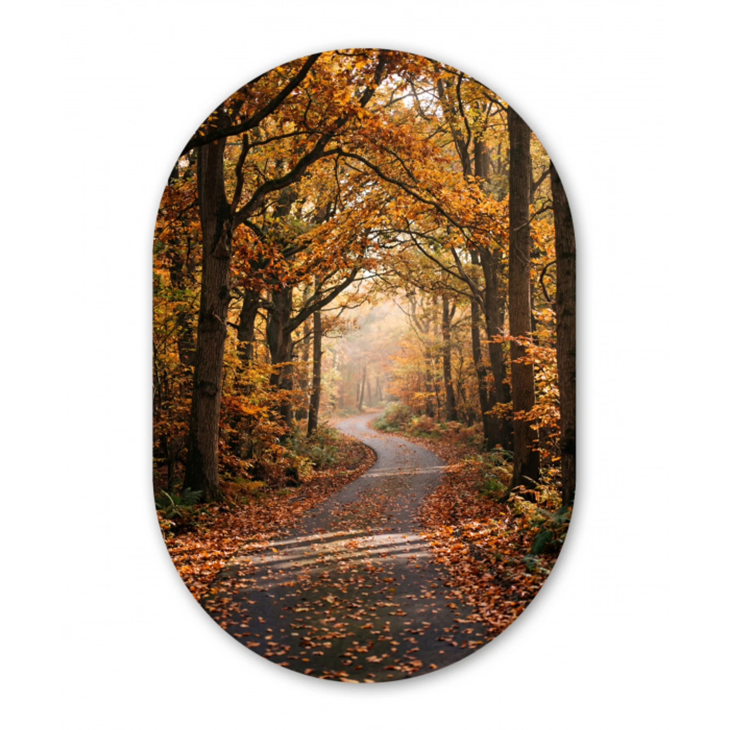 Bospad - Herfstbos - Bladeren - Oranje - Nostalgisch Wandcirkel Ovaal Forex klein -3d