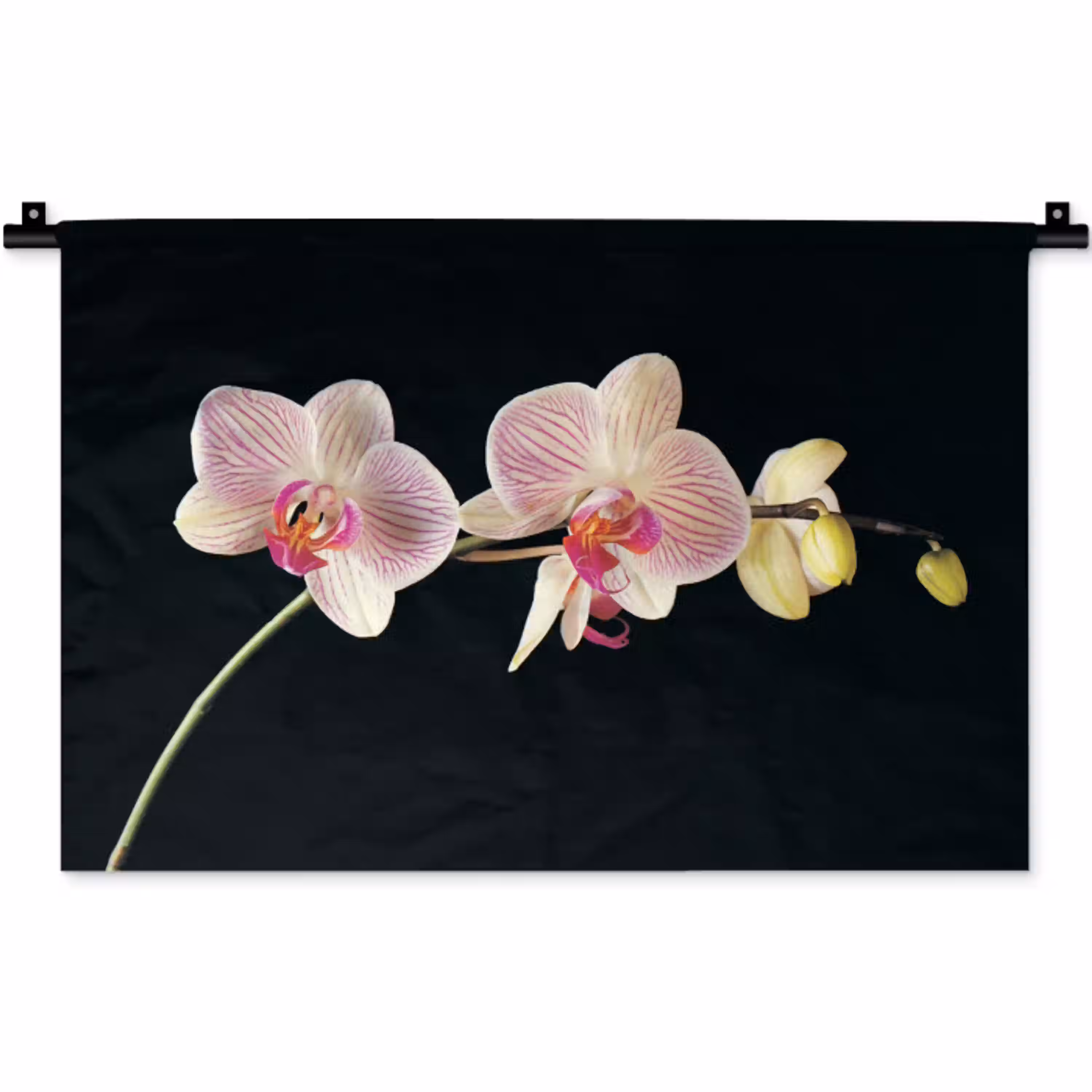 Orchidee - Bloemen - Zwart - Roze - Knoppen Wandkleed katoen klein -zz3d