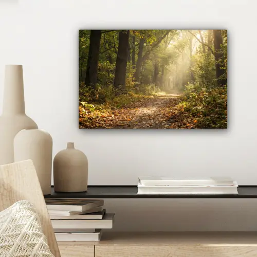 Zonlicht - Bospad - Bomen canvas 2cm klein -sfeer6