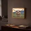 Longhorn - Landschap - Zonsondergang Light Box met batterij (Wandlamp) middel -sfeer1