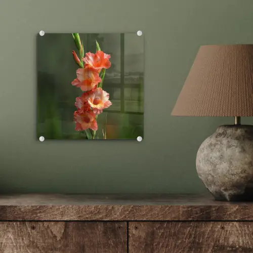 Bloem - Gladiolen - Zalmroze plexiglas 5mm klein -sfeer3