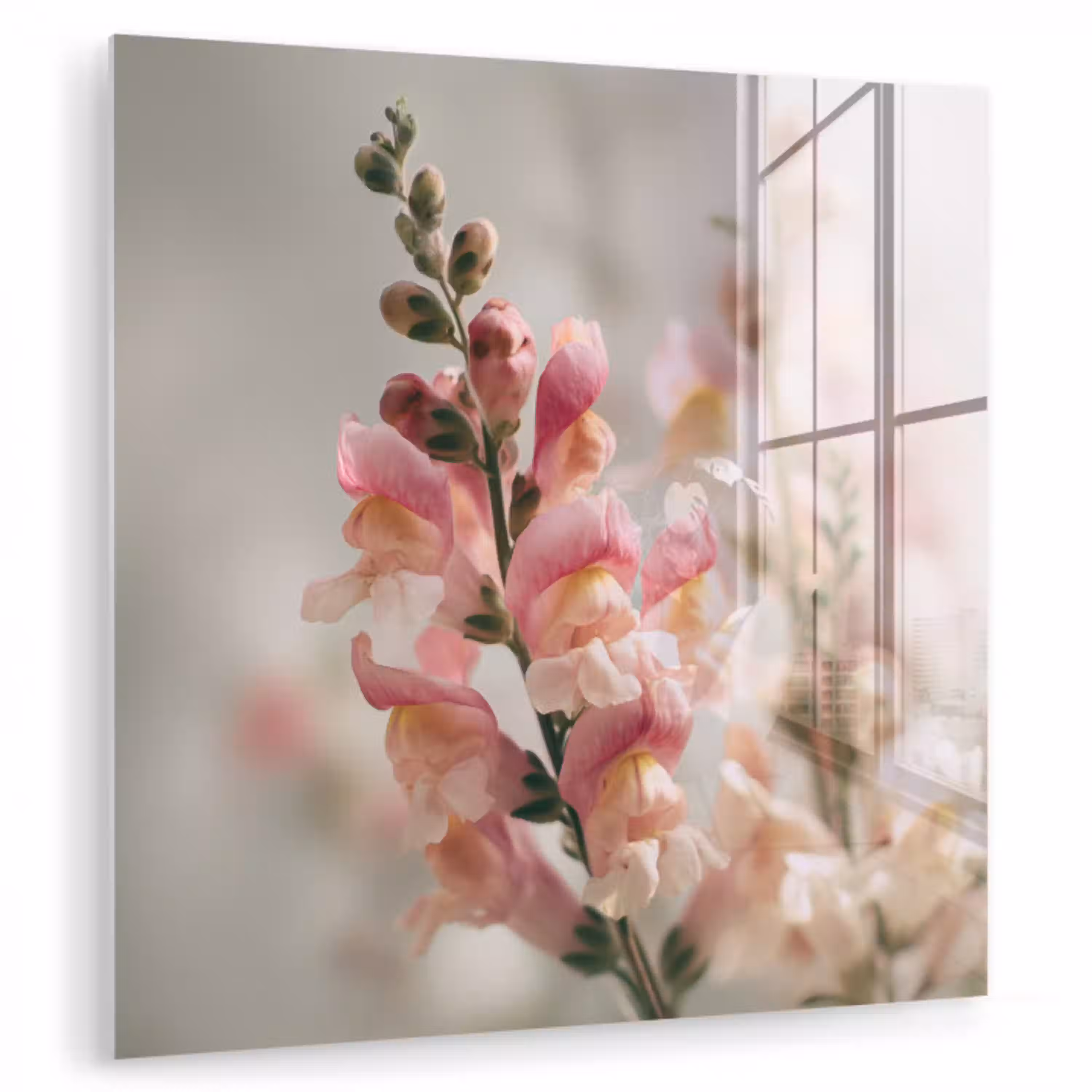 Bloem - Leeuwenbek - Roze - Stengel plexiglas 5mm klein -zzzproduct_nieuw