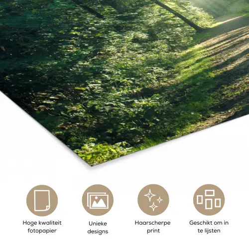 Bos - Pad - Zon - Bomen - Groen - Natuur poster papier klein -closeup_NL