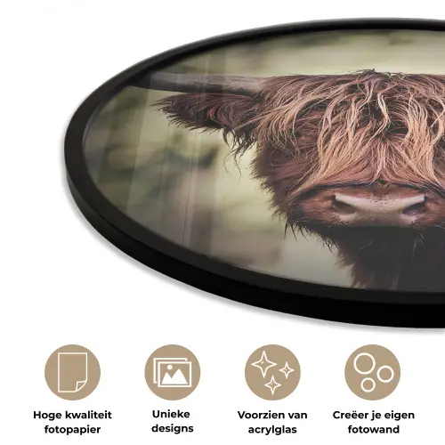Schotse hooglander - Licht - Portret - Natuur Fotolijst rond zonder passe partout klein -closeup_NL