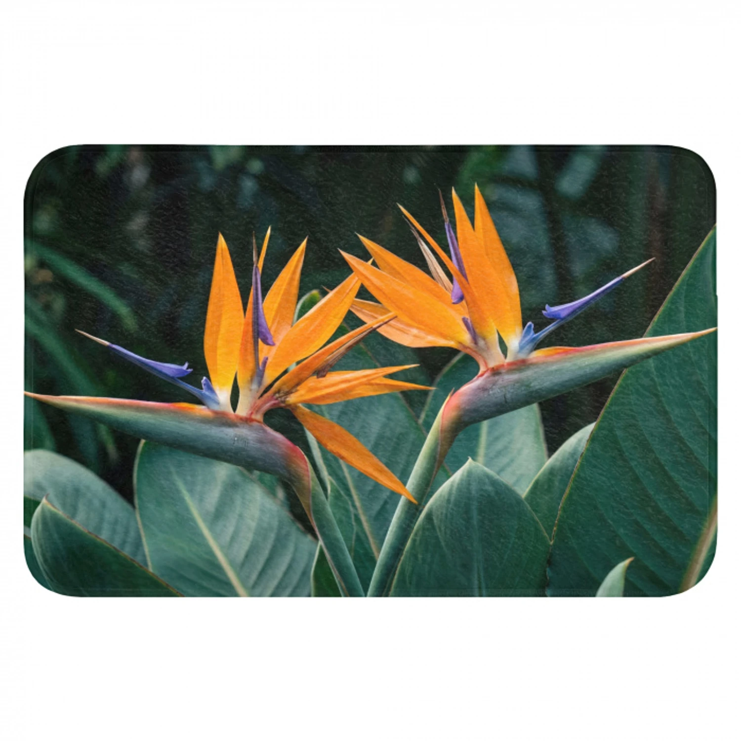 Paradijsvogel - Bloem - Exotisch Badmat klein -3d