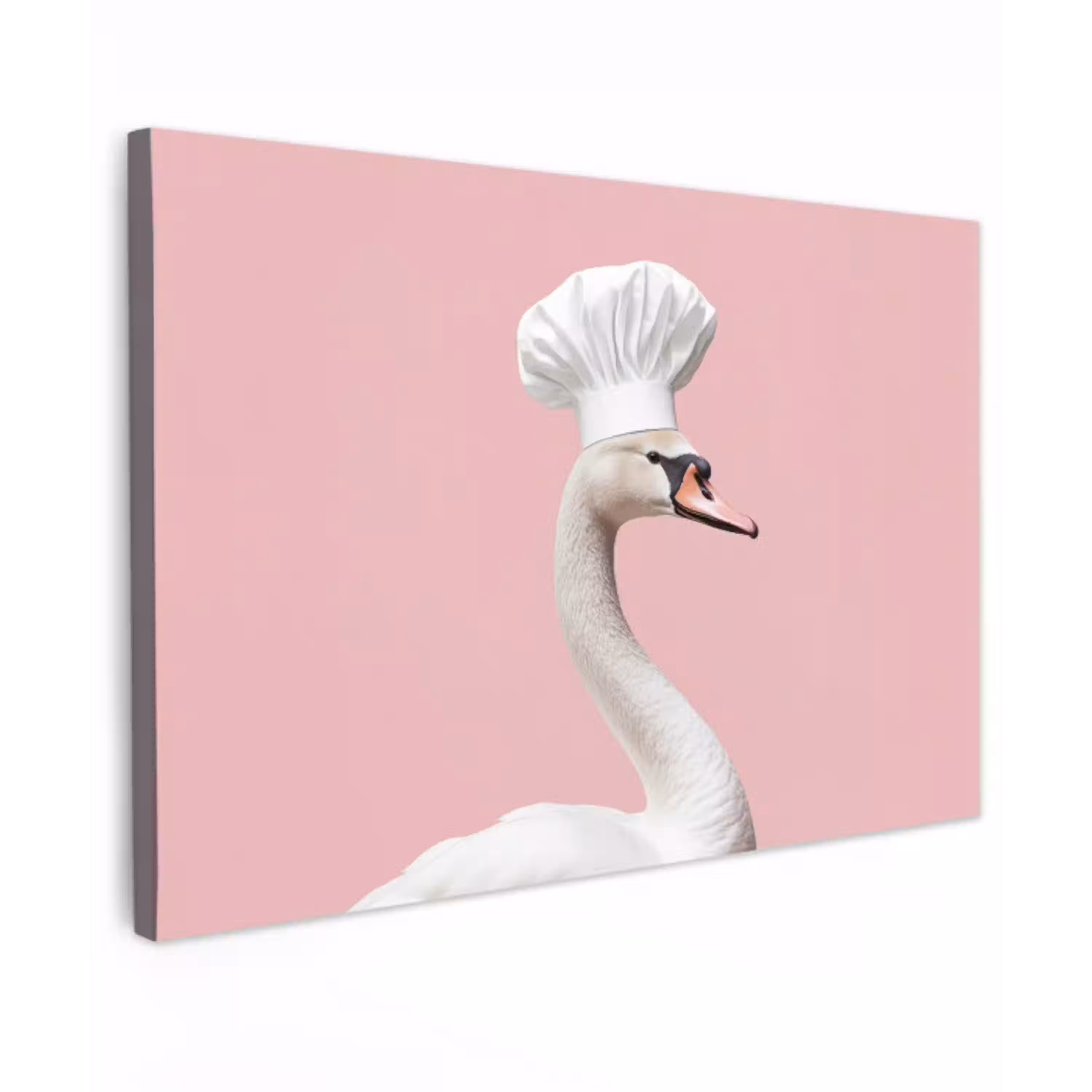 Zwaan - Koksmuts - Mooi - Klassiek canvas 2cm klein -z3d