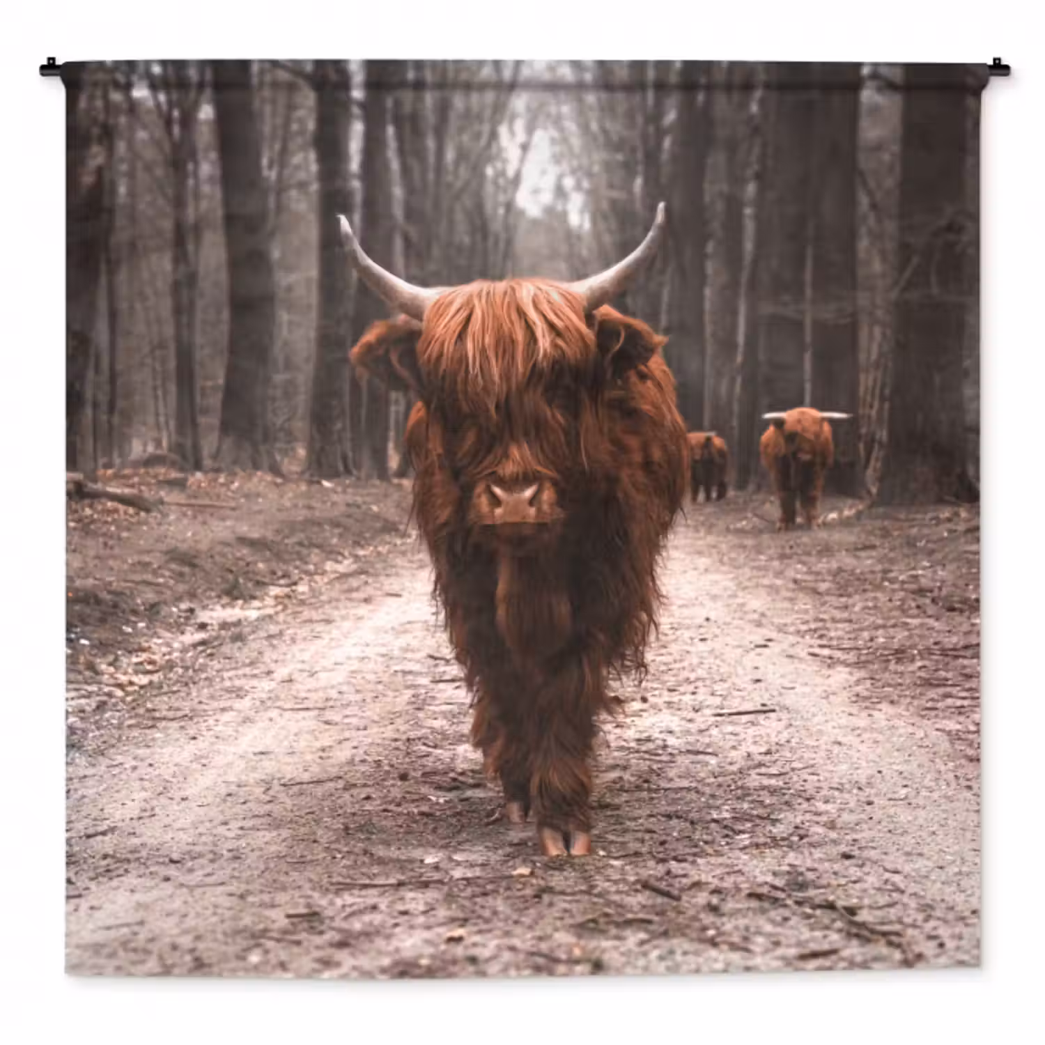 Wandteppich - Schottischer Hochländer - Wald - Kuh - Tiere - Natur