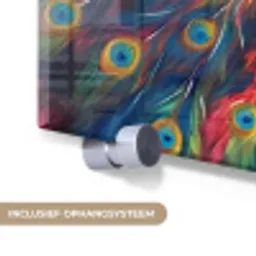 Pauw - Dieren - Schilderij - Regenboog plexiglas 5mm klein -zzsysteem_NL