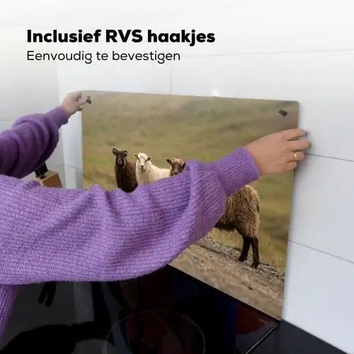 Schapen - Bruin - Wit - Grindpad Inductie beschemer met haakjes klein -ky-ophangen-nl