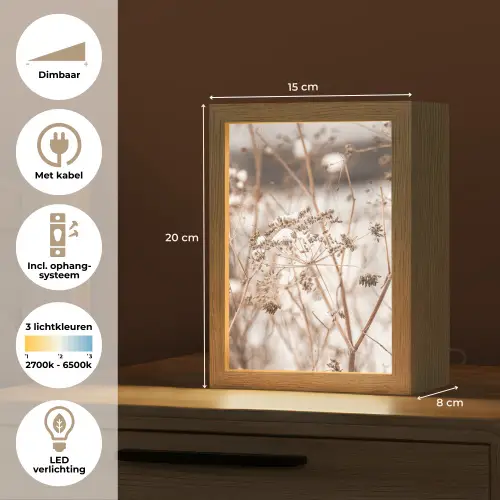 Droogbloemen - Wit - Planten Light Box met kabel (Tafellamp) klein -USP_NL