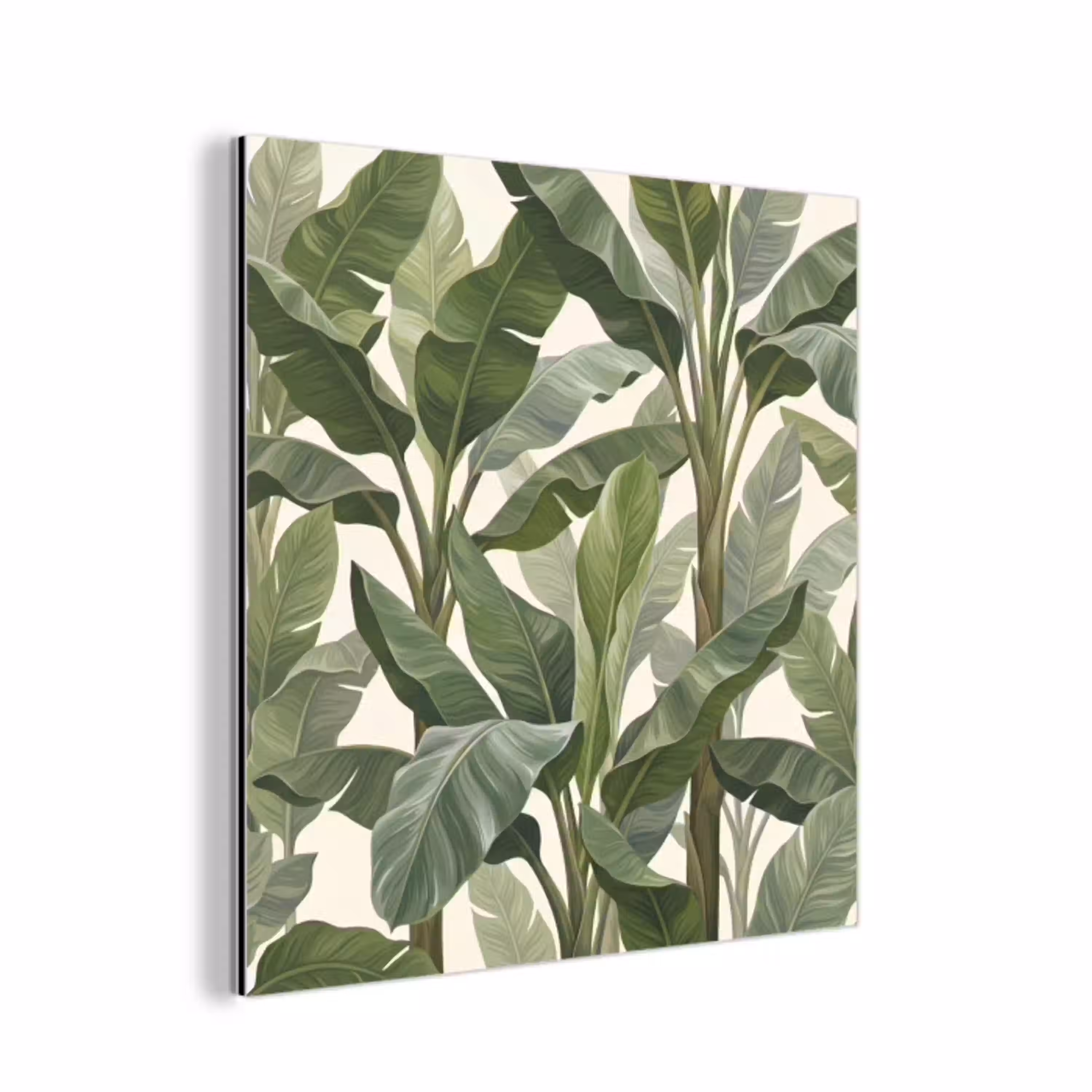Planten - Bladeren - Tropisch - Groen aluminium wit klein -3d
