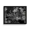 Tropisch - Jungle - Bomen - Bladeren fotolijst zwart zonder passe partout klein -3d