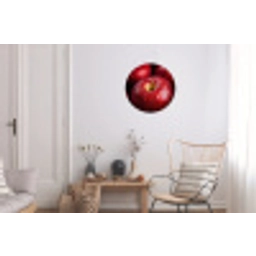 Rood - Appels - Fruit Wandcirkel aluminium klein -woonkamer