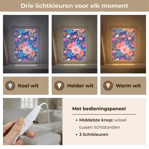 Bloemen - Blauw - Roze Light Box met kabel (Tafellamp) klein -USP_lichtkleurNL