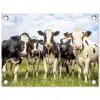 Koeien - Weiland - Dieren - Natuur - Gras tuinposter los doek klein -3d