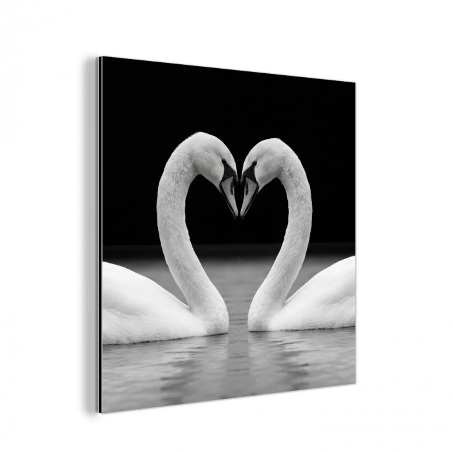 Zwanen - Hart - Zwart - Wit aluminium wit klein -3d