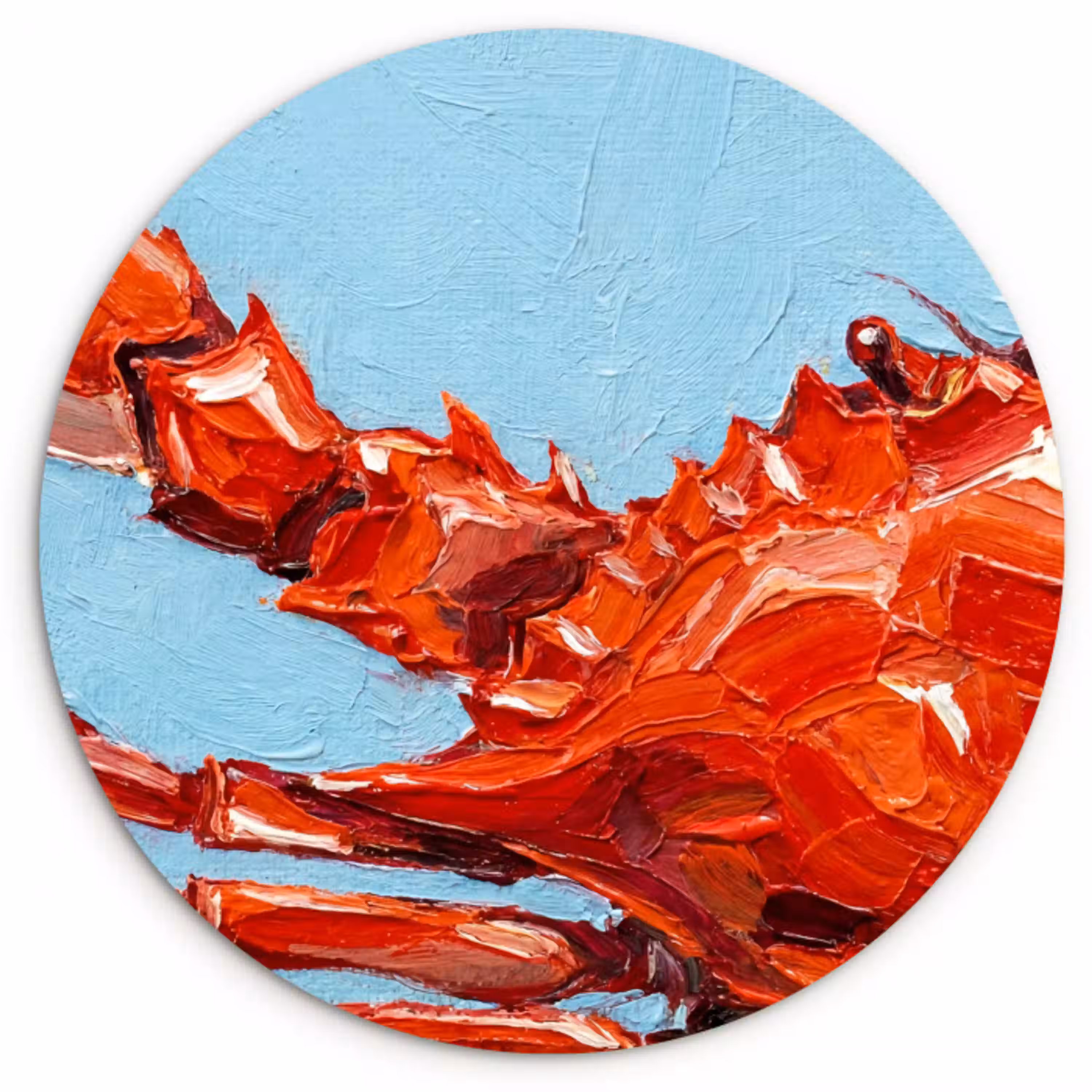Krab - Zee - Dieren - Abstract - Rood Wandcirkel kunststof plaat 5mm dik klein -3d