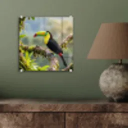 Toekan - Jungle - Natuur - Kleurrijk plexiglas 5mm klein -sfeer3