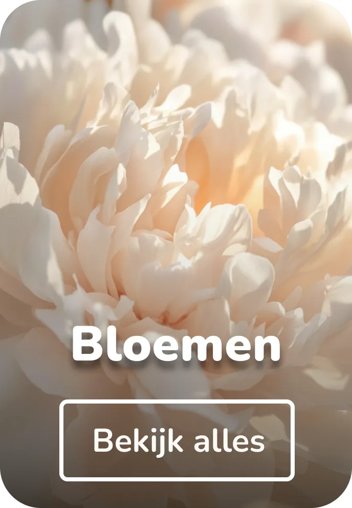 Wandkleed bloemen