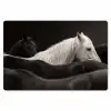 Paarden - Zwart - Wit - Kudde Placemat vinyl groot -zzsfeer1_Kitchenyeah-website