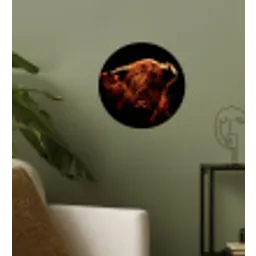 Schotse hooglander - Koe - Hoorns - Portret - Dieren Wandcirkel behangsticker klein -sfeer2