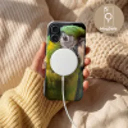 Ara - Portret - Groen Toughcase MagSafe Apple iPhone 17 klein -USP_MagsafeV