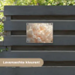 Close up - Pioenroos - Lichtroze tuinposter los doek klein -sfeer3