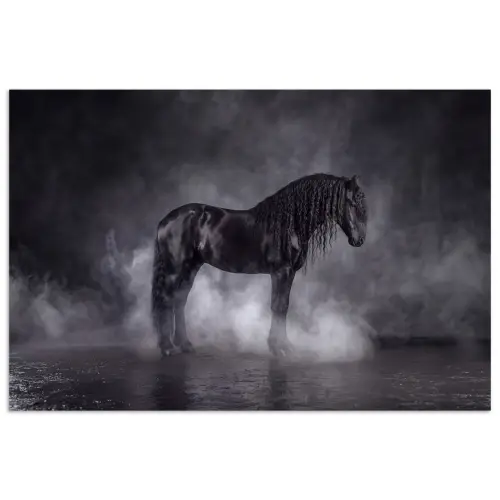 Paard - Magisch - Zwart poster papier klein -3d