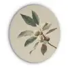 Tak - Groene Bladeren - Vruchten Akoestische PET Vilt - Rond klein -3d