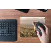 Koala - Bladeren - Ochtendlicht muismat rubber klein -toetsenbord