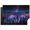 Sterrenlicht over Lupineveld Inductie beschermer vinyl 3mm klein -3d
