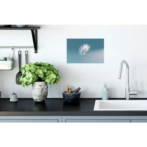 Paardenbloempluisje - Blauw - Lucht Muursticker klein -keuken